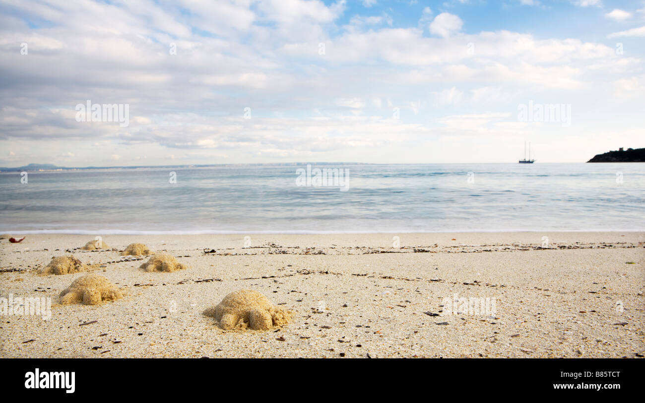 Surreal sand tortoise emerging from sea Stock Photo