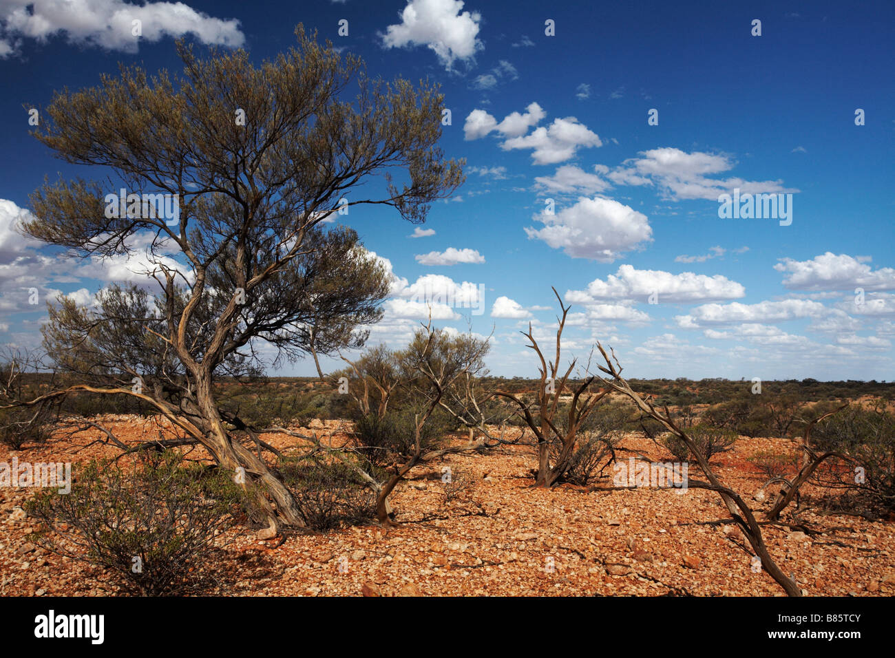 Outback in South Australia near Coober Pedy Stock Photo
