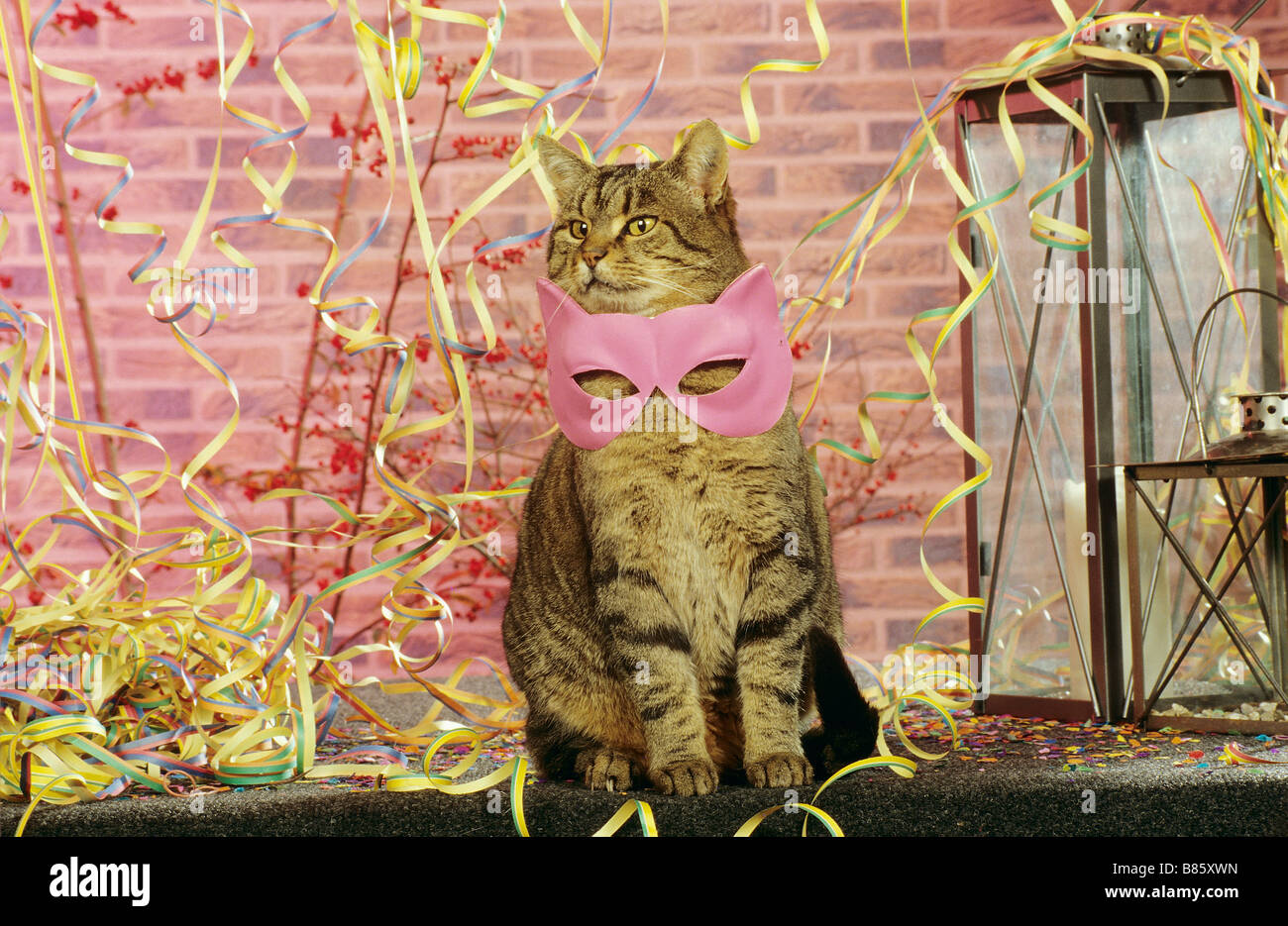 Download Cat Mask High Resolution Stock Photography And Images Alamy PSD Mockup Templates