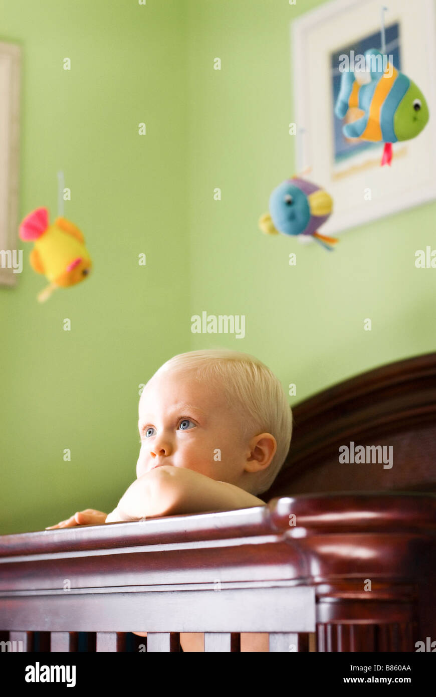 Baby standing in crib Stock Photo Alamy