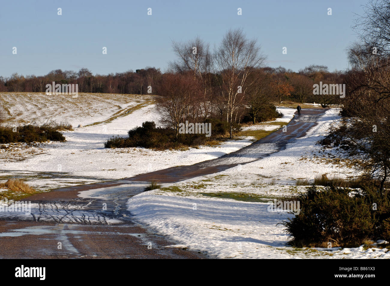 Sutton park sutton coldfield hi-res stock photography and images - Alamy