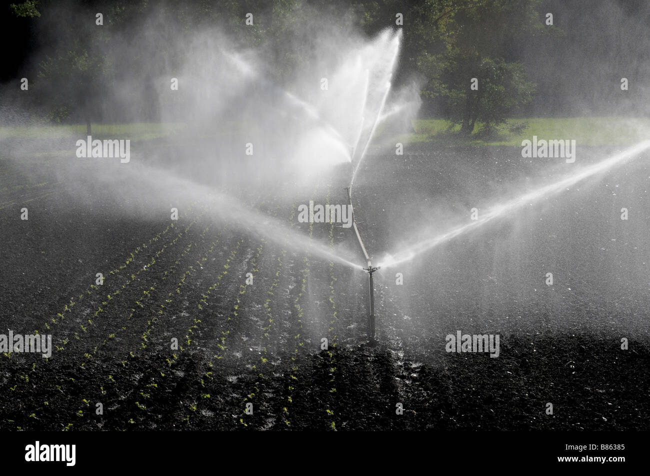 Automatic system watering a field Stock Photo