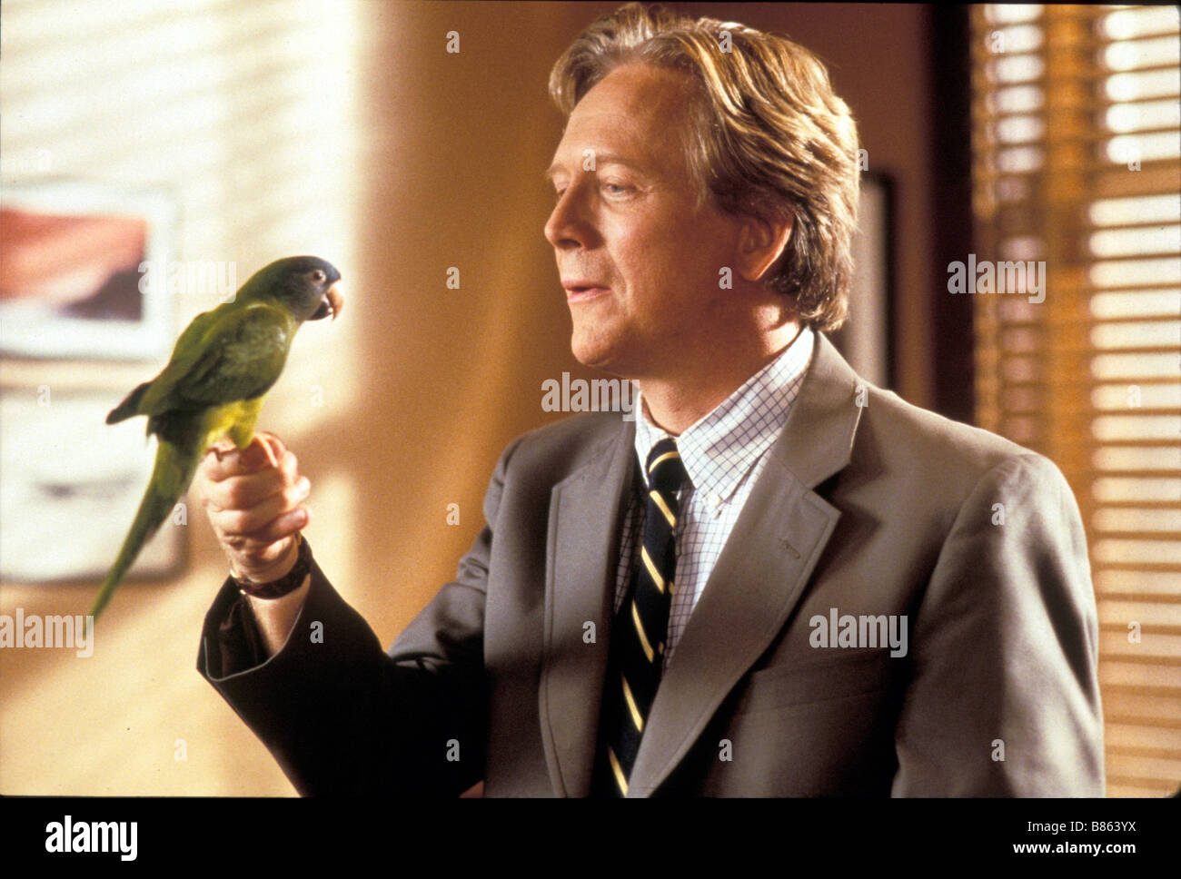 paulie le perroquet qui parlait trop Paulie Year 1998 USA Director John Roberts Bruce