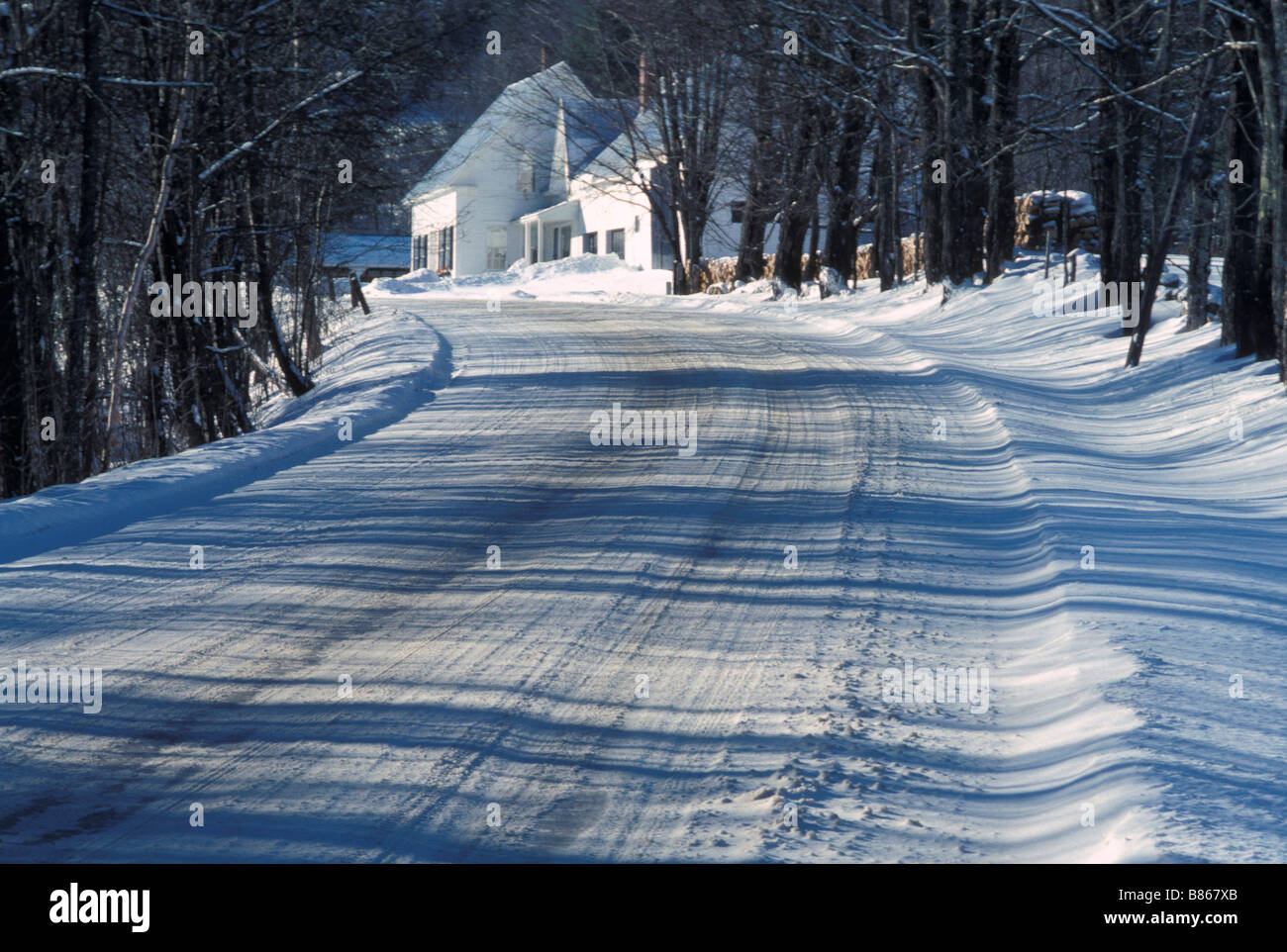 Shadows on road in winter Stock Photo - Alamy