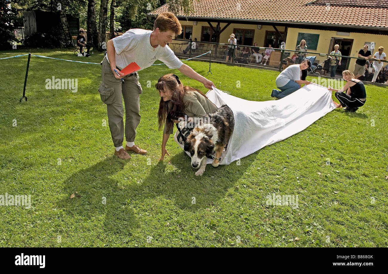 Dog running through tunnel hires stock photography and images Alamy
