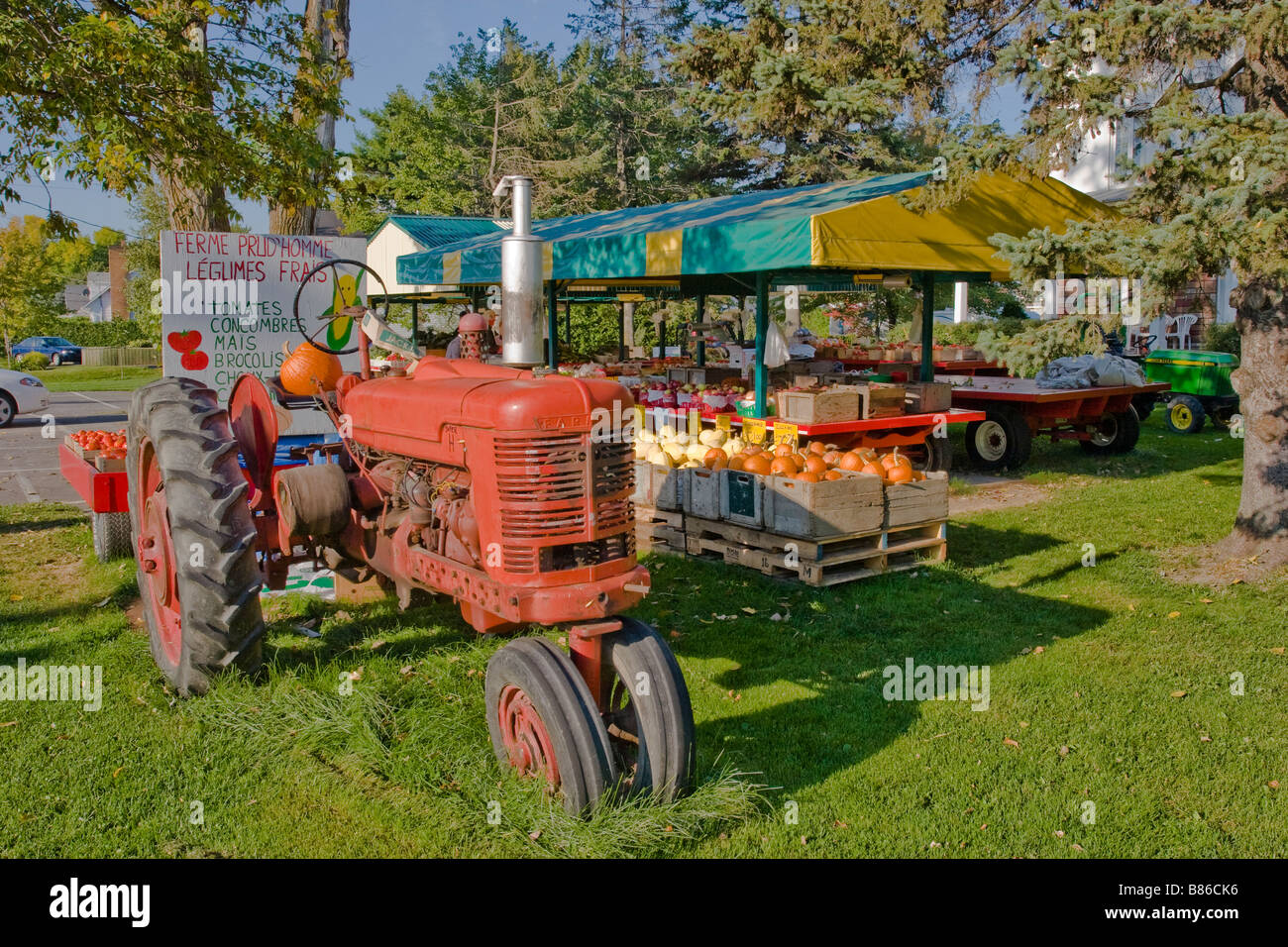 Farmall farm tractor Stock Photo