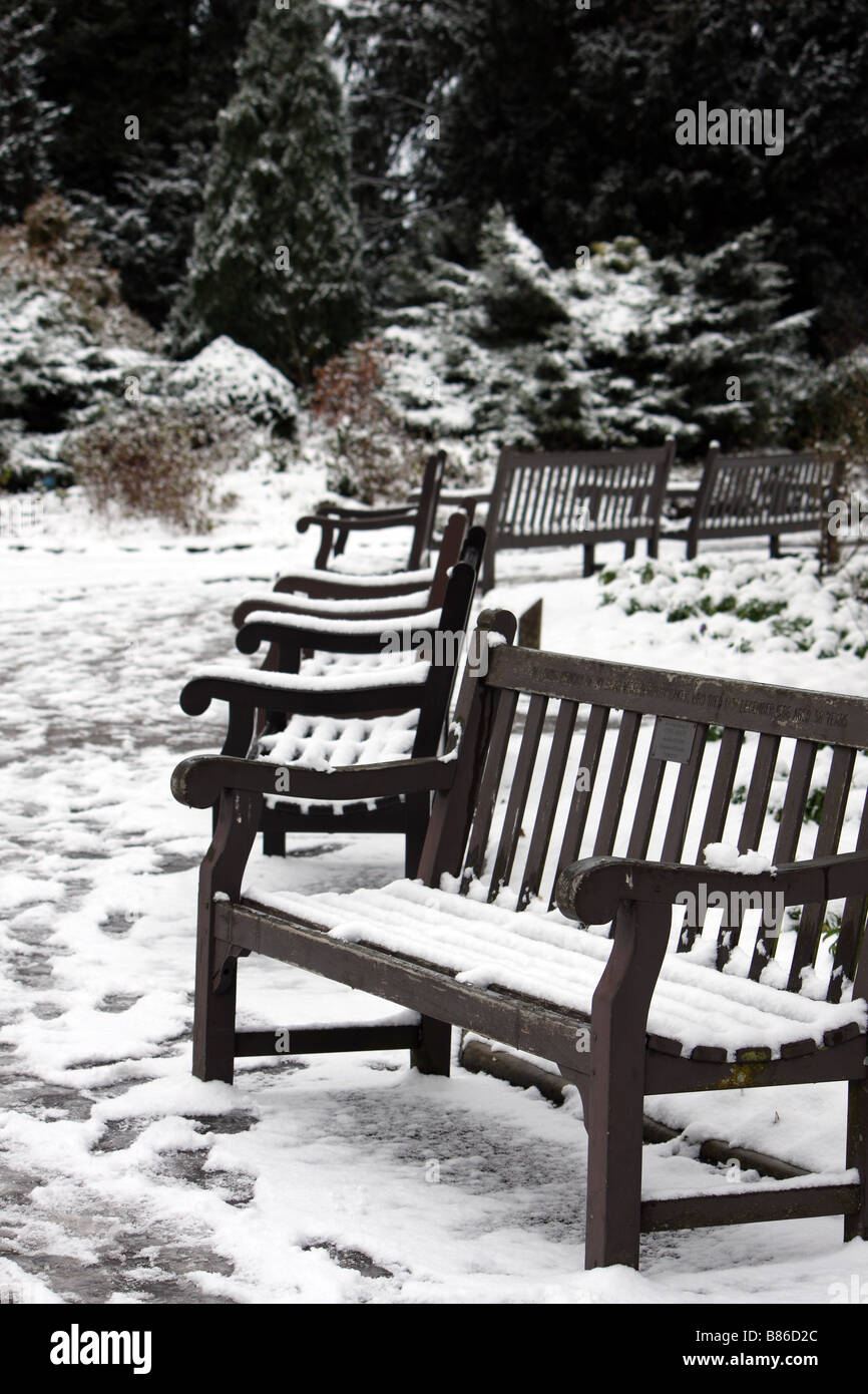 A collection of park benches covered in snow on a cold winters day ...