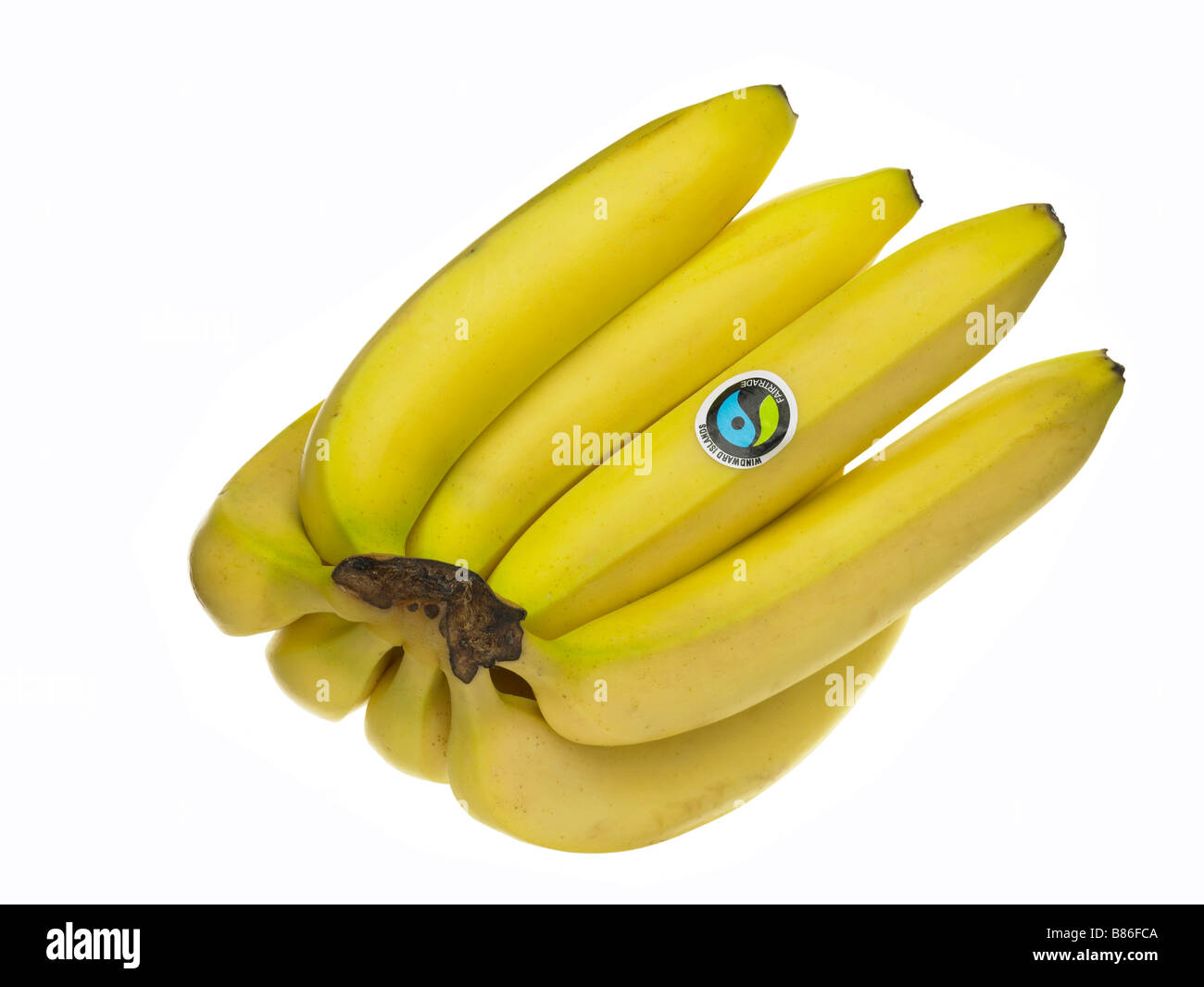 Whole bunch hires stock photography and images Alamy