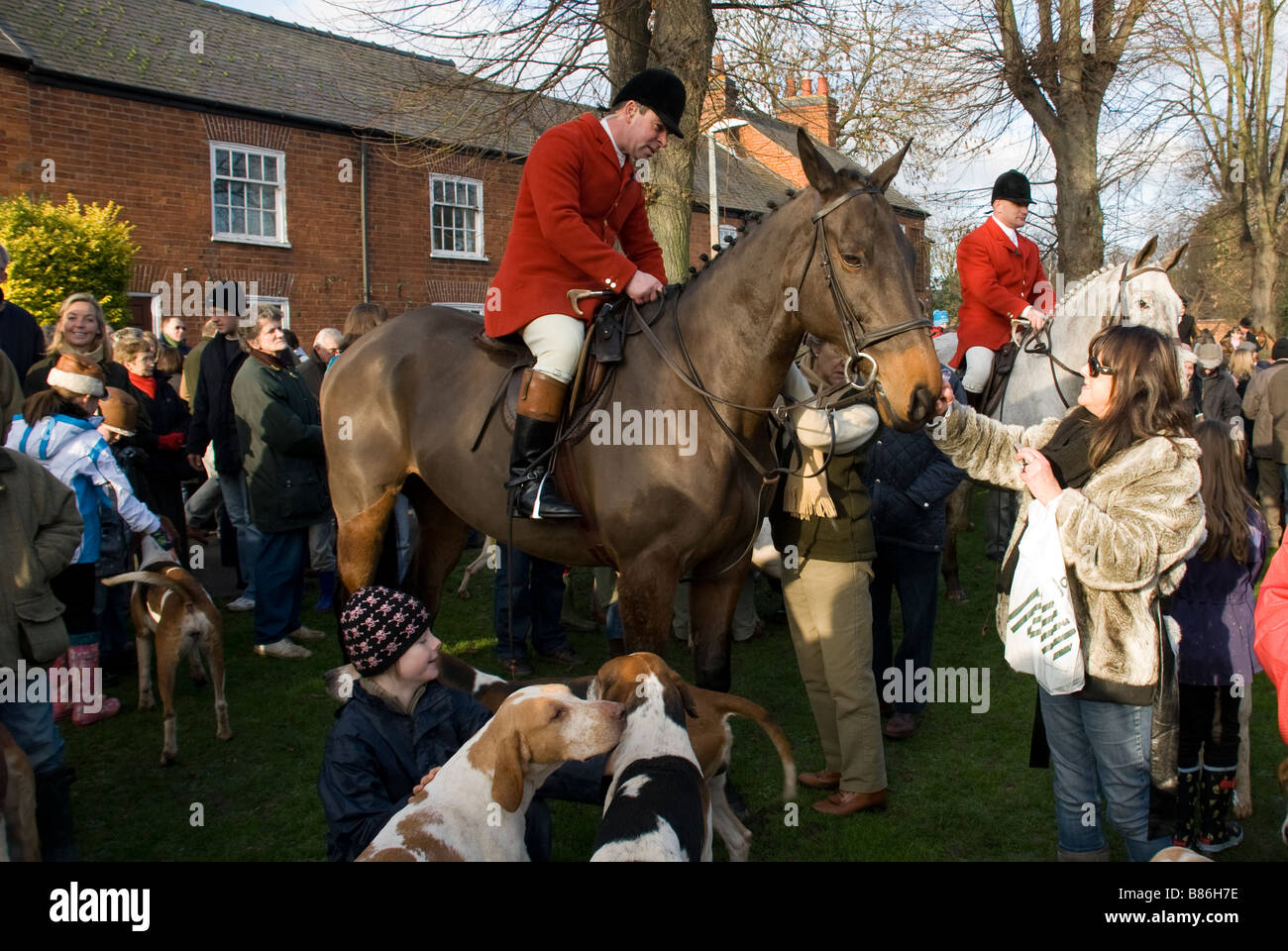Horses and hound of the Fernie Hunt at the traditional meet on Boxing Day Great Bowden Leicestershire, England Stock Photo