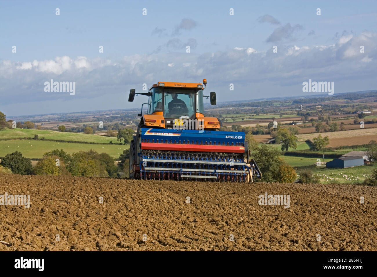 Drilling of Wheat in late harvest Stock Photo Alamy