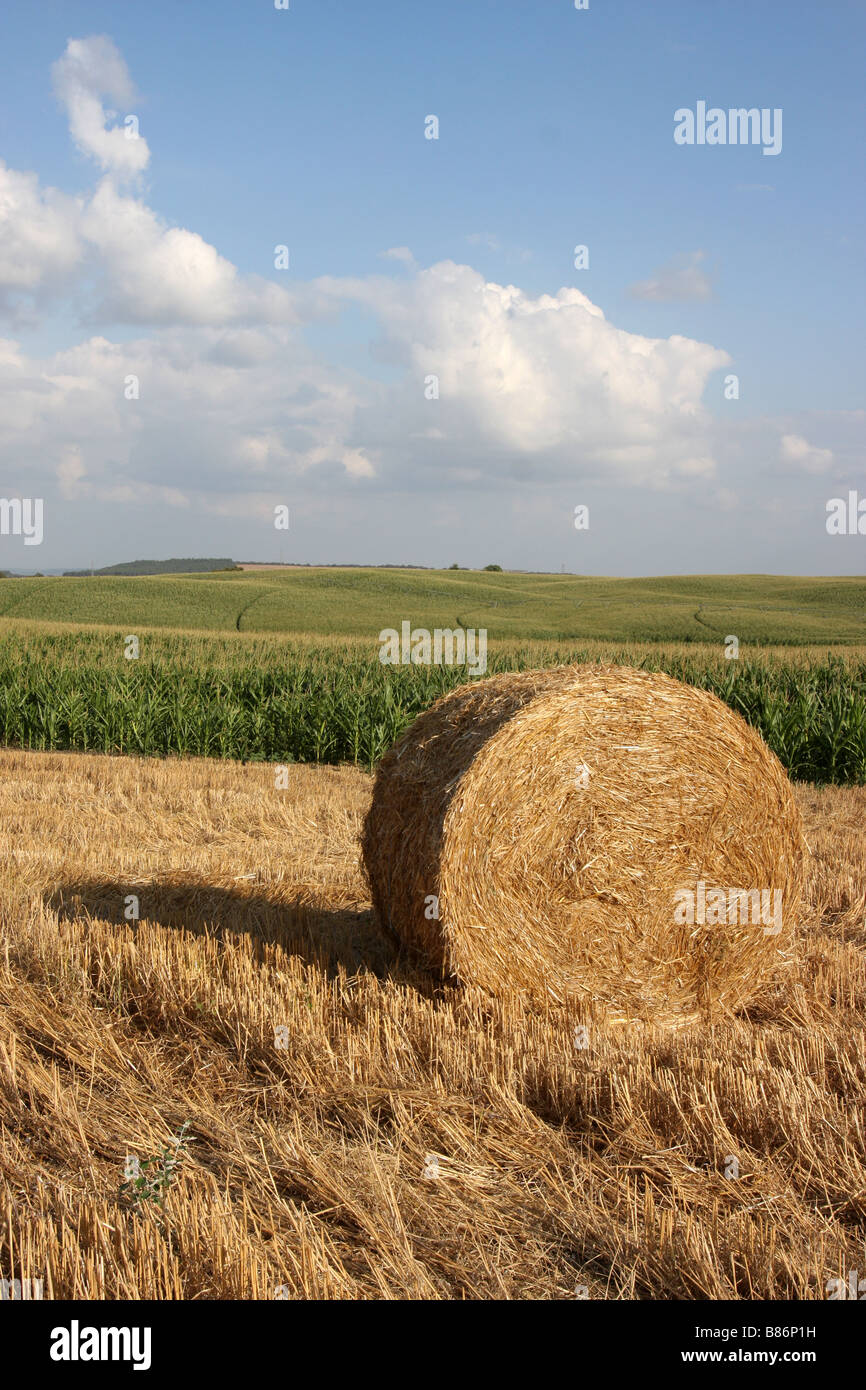 Bale of wheat in a harvested field, in Ribatejo, Portugal Stock Photo