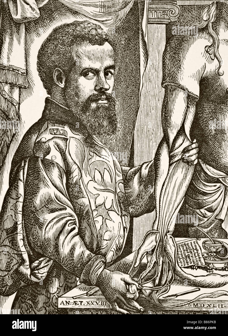 Andreas Vesalius, 1514 - 1564. Anatomist, physician and author of De humani corporis fabrica, On the Workings of the Human Body. Stock Photo