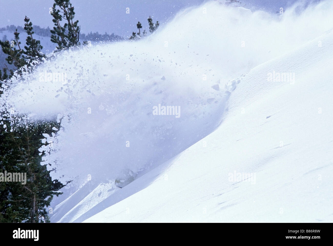 Snowboarder in powder, Mt. Rose, Nevada, USA Stock Photo