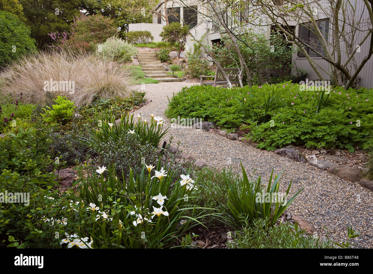 Gravel path leading to patio in drought tolerant California native plant garden Stock Photo