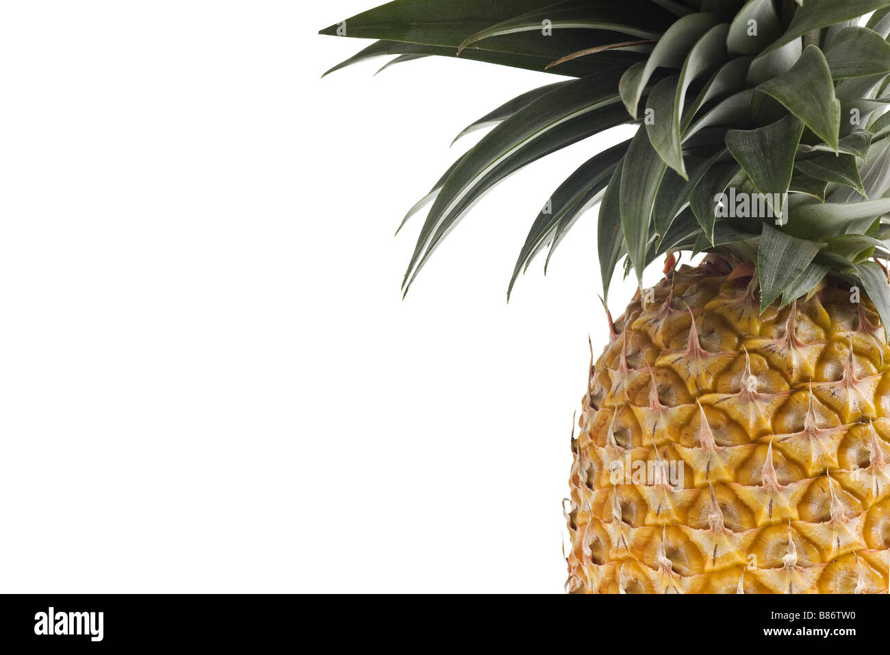 fresh Florida pineapple isolated on white background Stock Photo