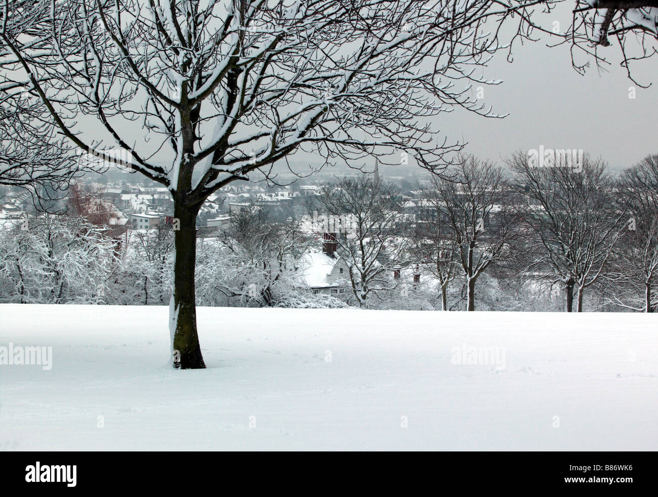 View Snowy Fields High Resolution Stock Photography and Images - Alamy