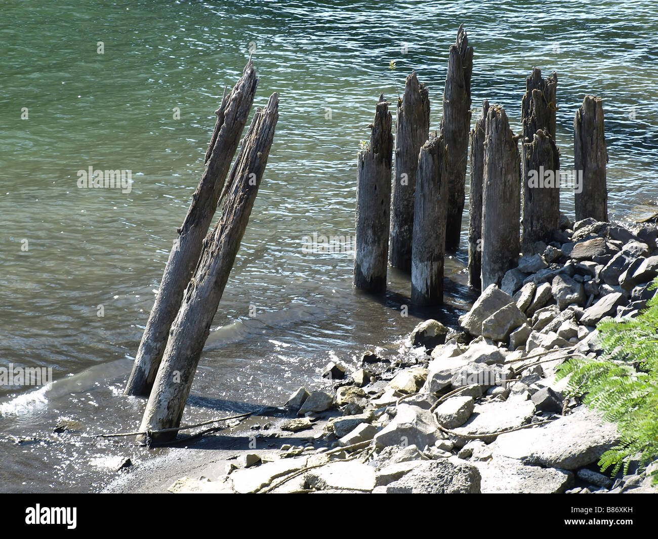 Worn and broken posts at the shore of a river Broken concrete and ...