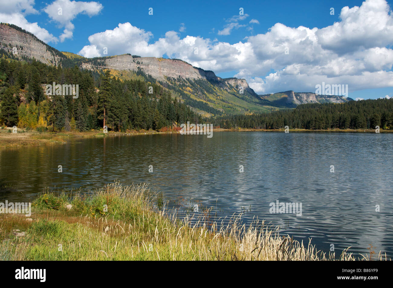 Colorado san juan national forest hi-res stock photography and images ...