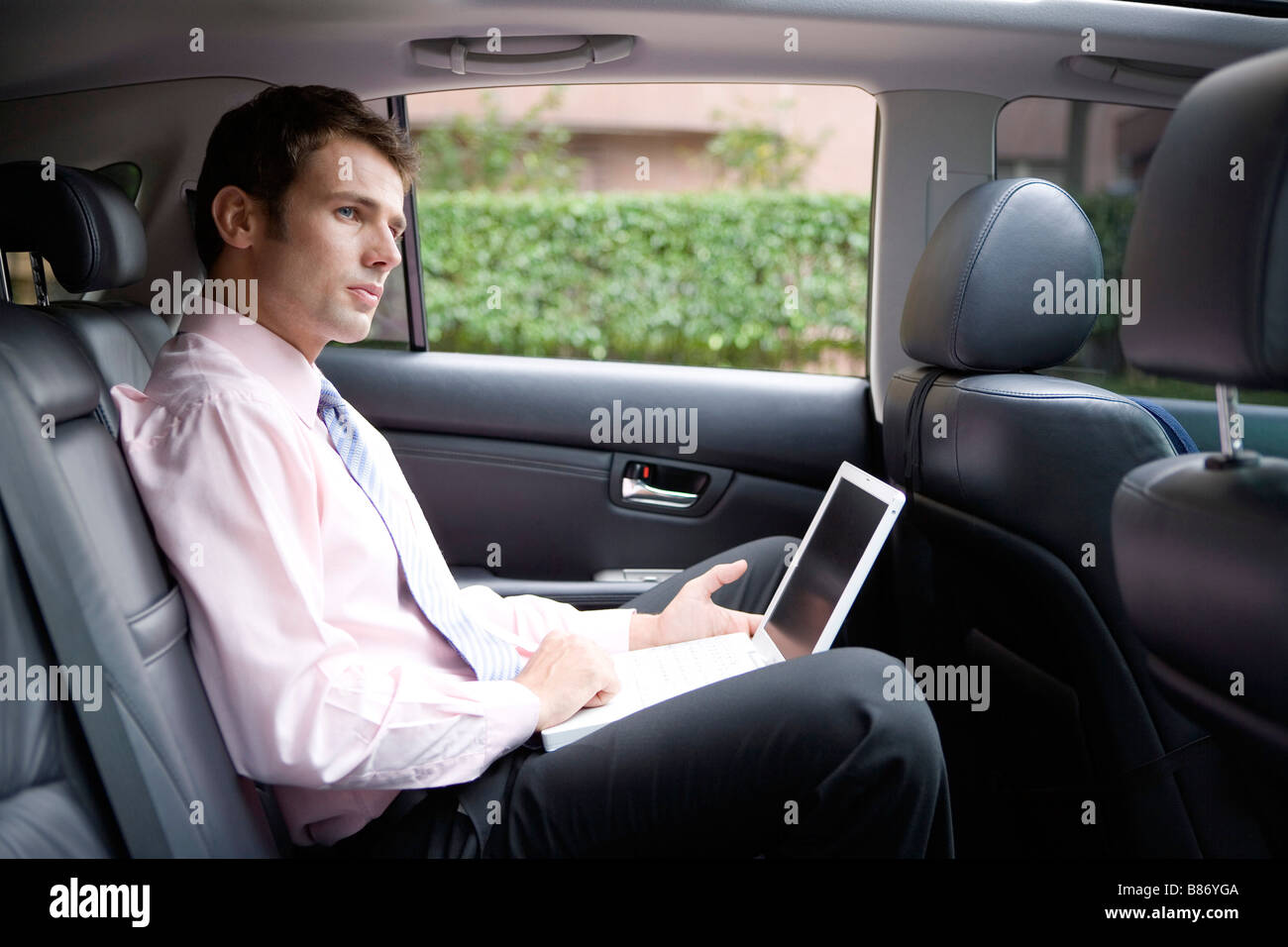 Businessman using laptop in car Stock Photo Alamy