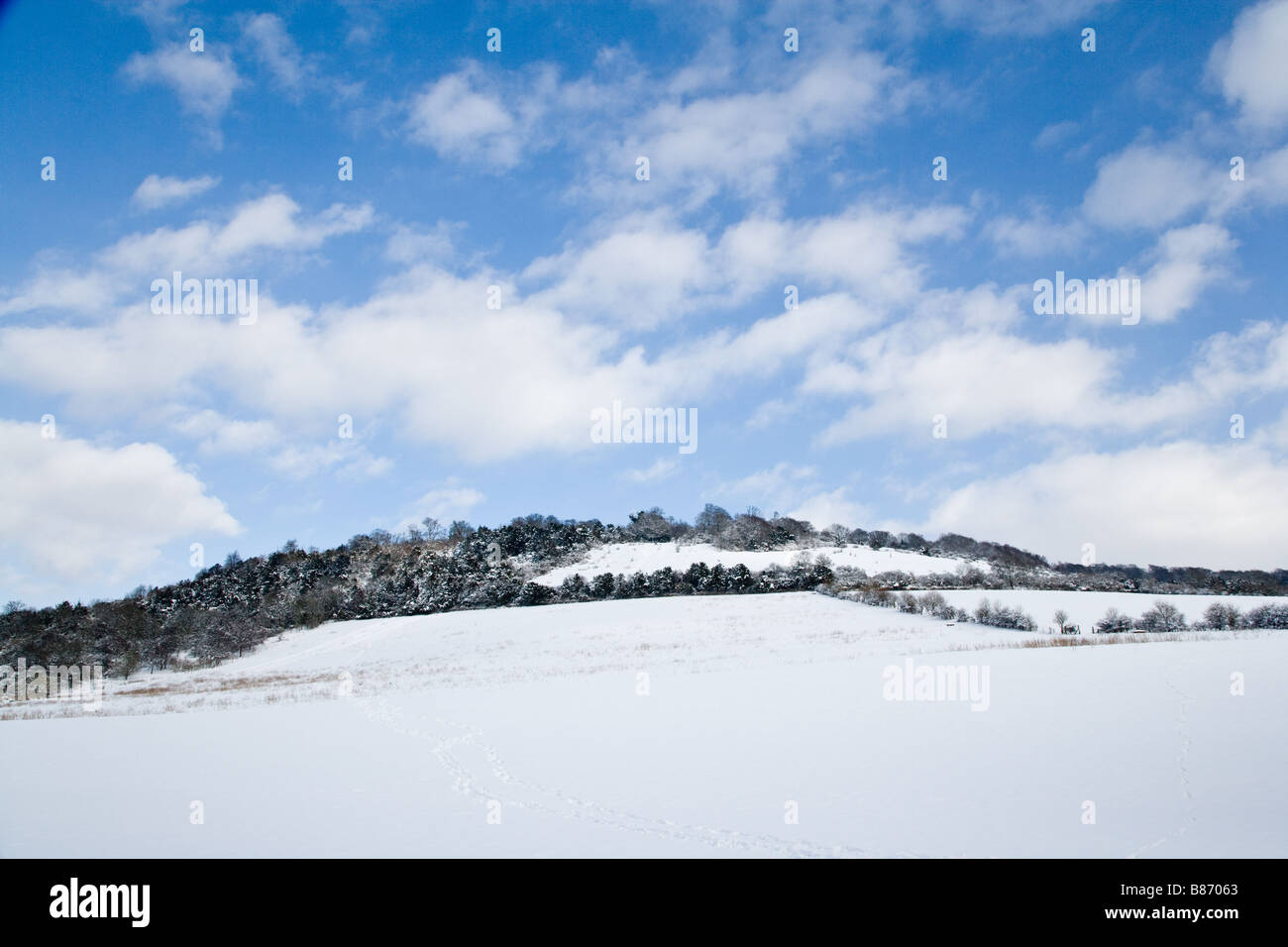 A bright Winter's morning showing the southern side of Box Hill in Surrey covered in fresh snow Stock Photo