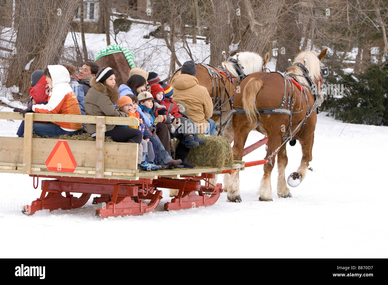 Georgetown Co Sleigh Ride Christmas 2022 Horse Drawn Sleigh Ride High Resolution Stock Photography And Images - Alamy