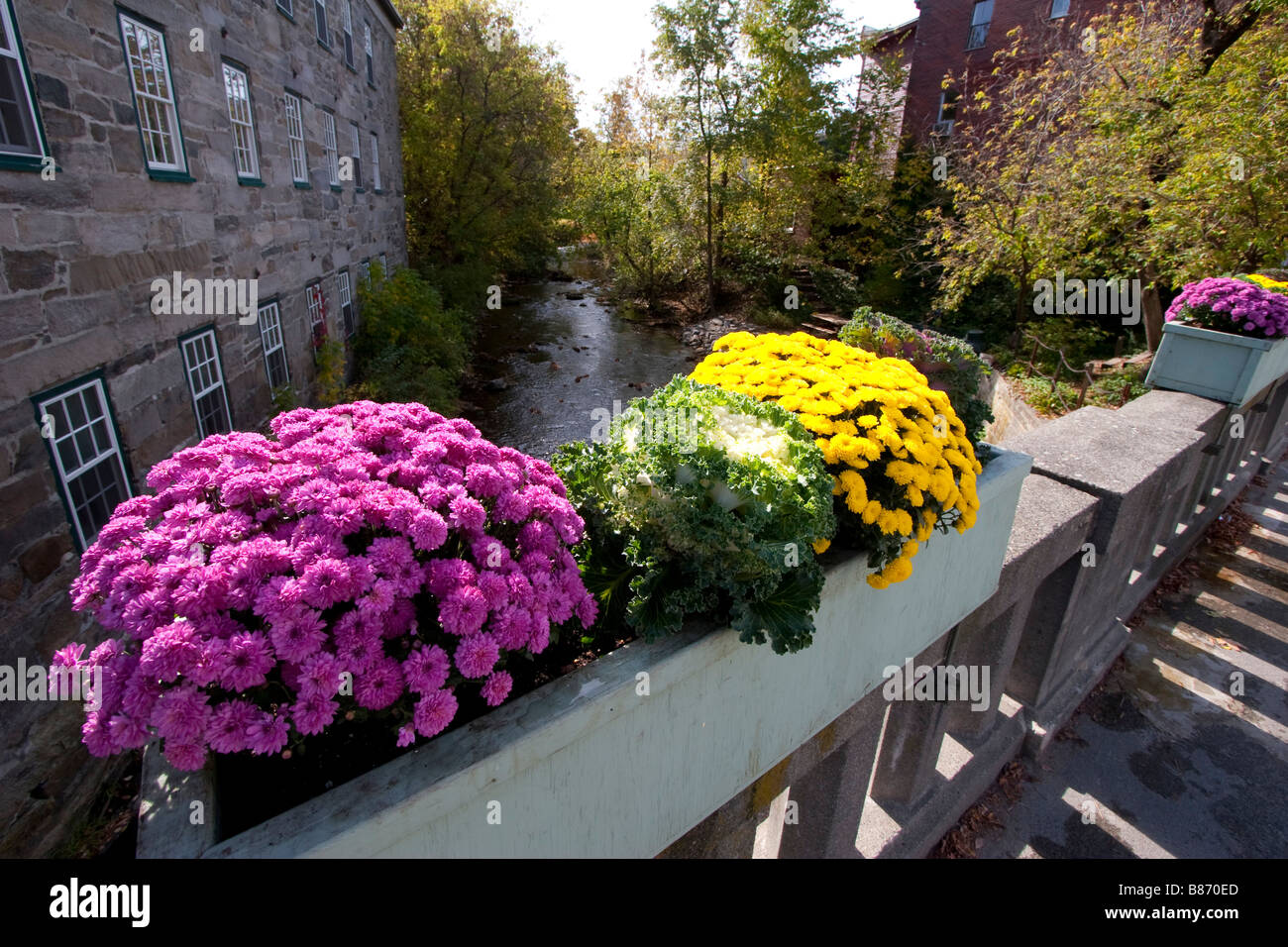 Flowers along a bridge in Woodstock Vermont October 8 2008 RF Stock Photo