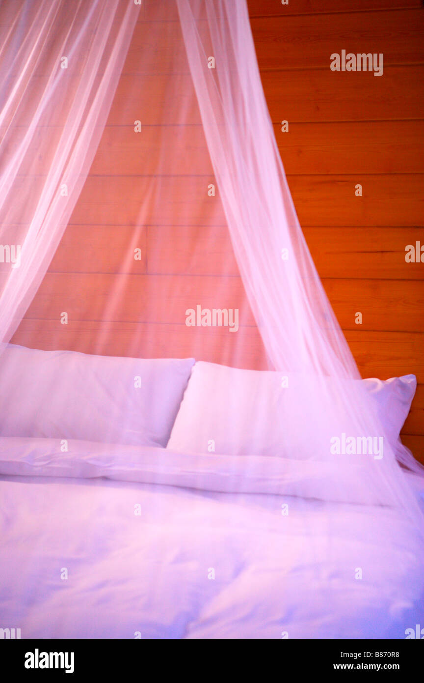 Mesh netting over bed Stock Photo Alamy