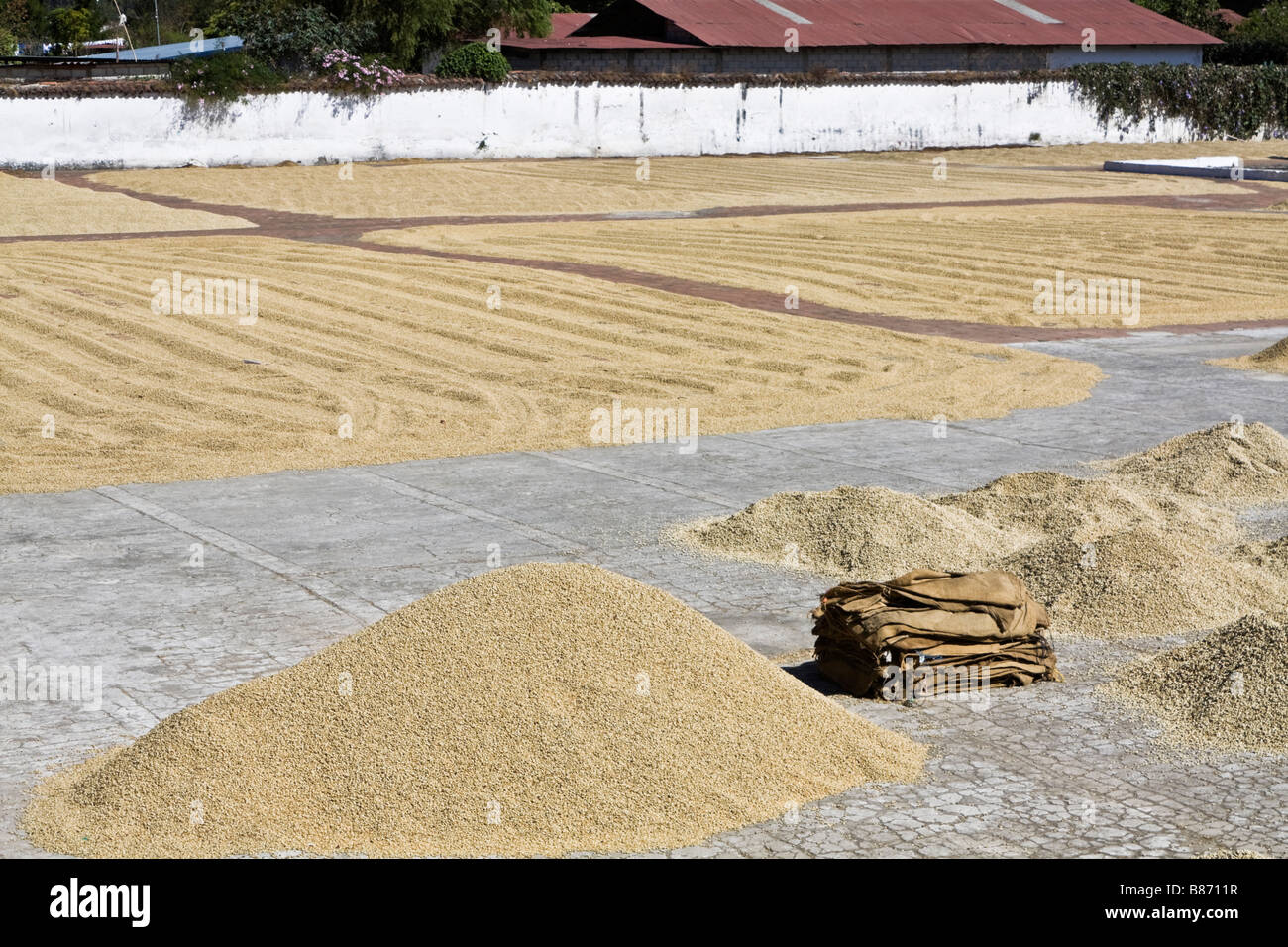 Coffee ready for import from Guatemala Stock Photo Alamy