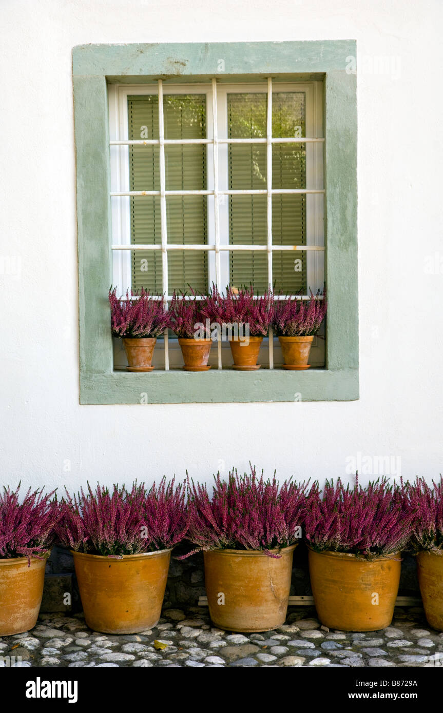 A window with pots of lavendar at the castle in Bled Slovenia Stock Photo