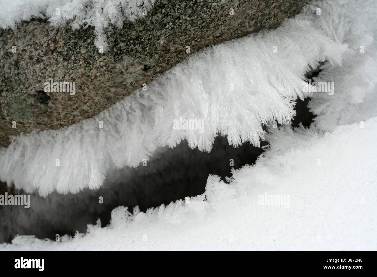 Frost accumulation at the entrance to a winter burrow Stock Photo Alamy
