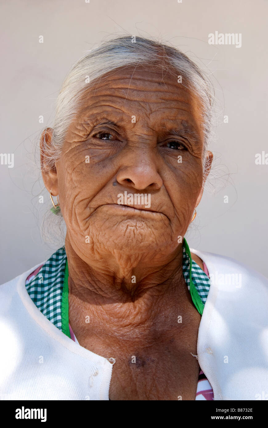 Portrait Of A Dignified Silver Haired Deeply Wrinkled Indian Stock