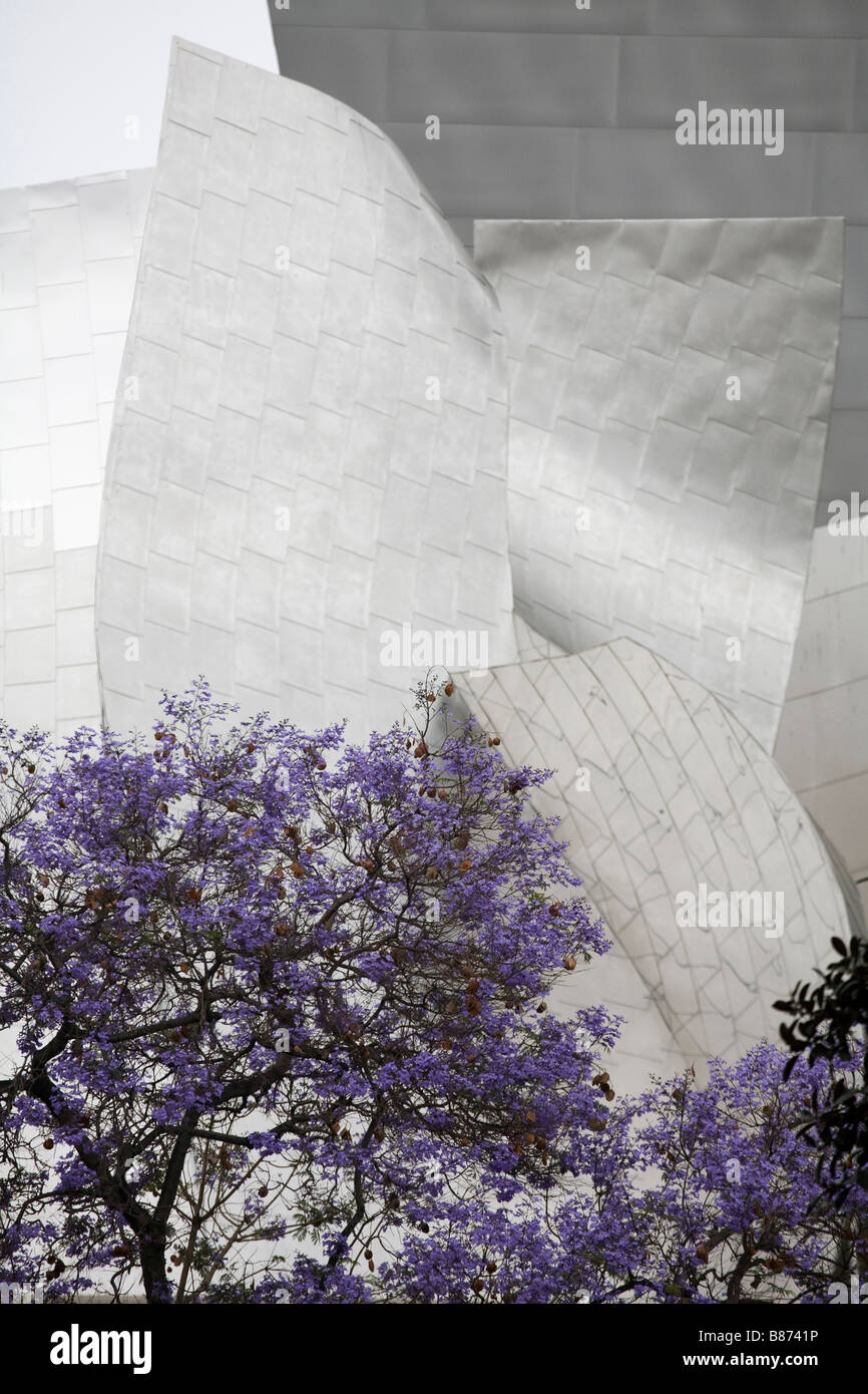 Walt Disney Concert Hall in Los Angeles with purple bloom of spring Jacaranda Stock Photo