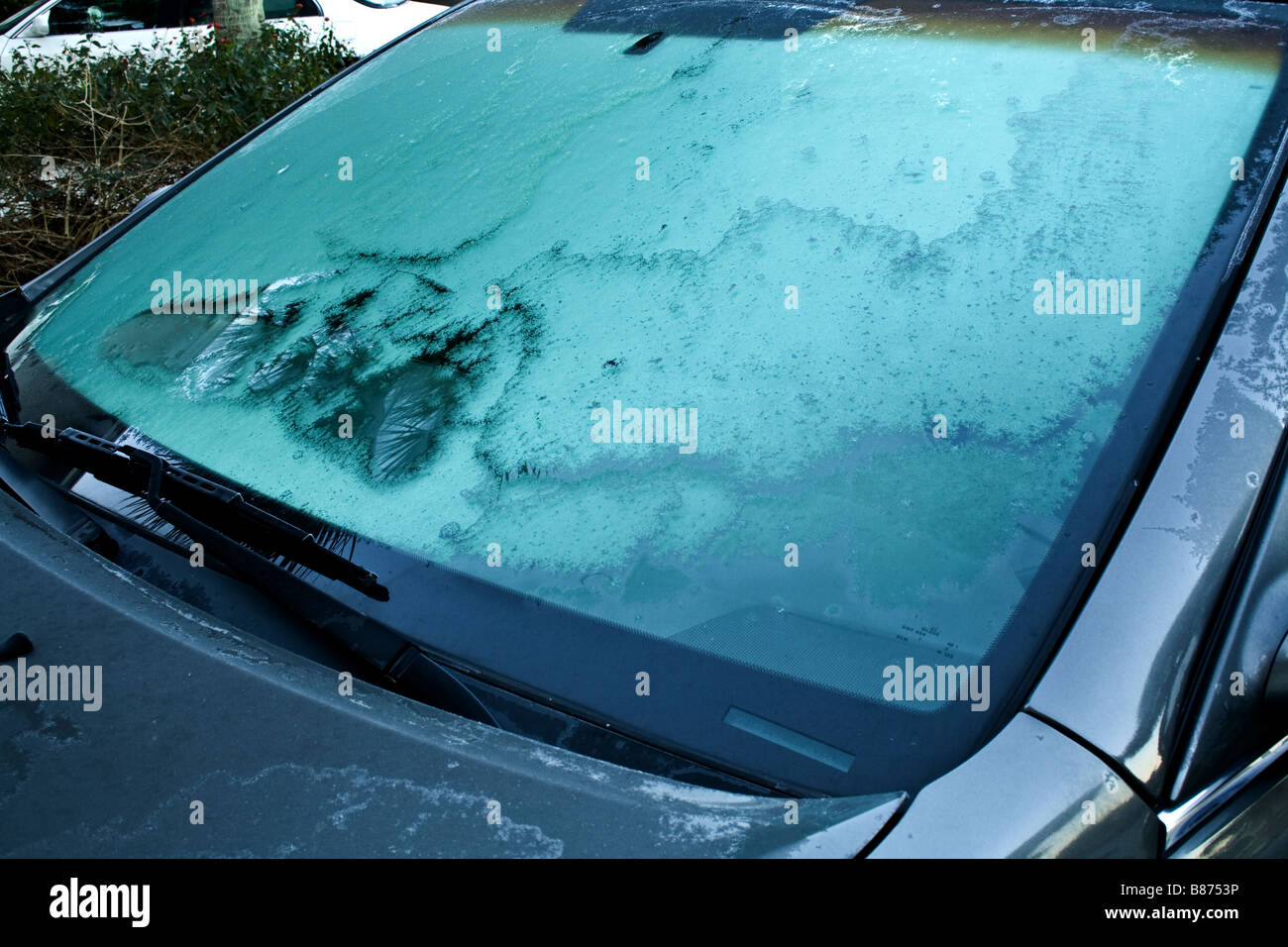 Frost on the windshield on a car in Florida Stock Photo