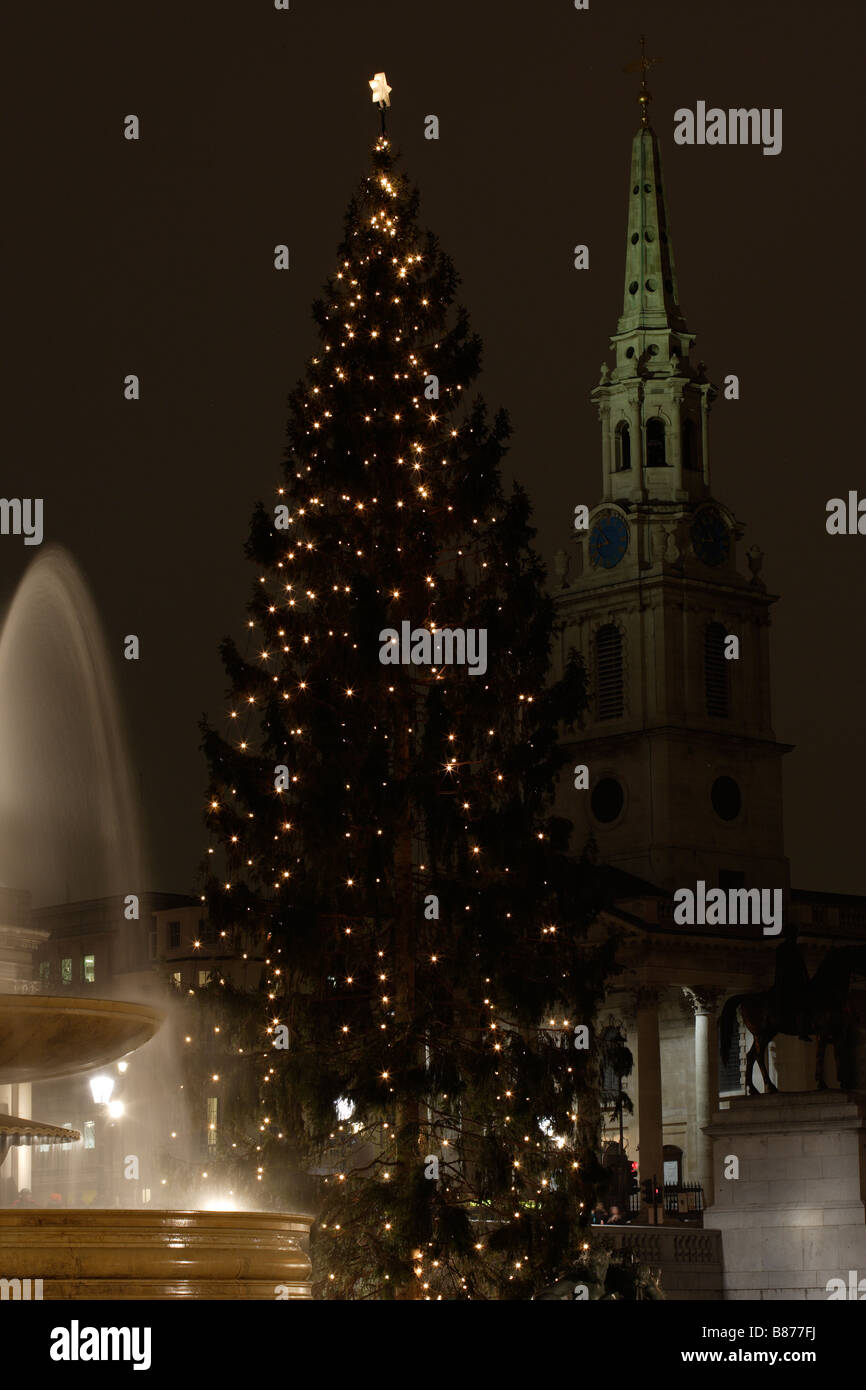 Norwegian Christmas Tree 2008 Trafalgar Square London UK Stock Photo