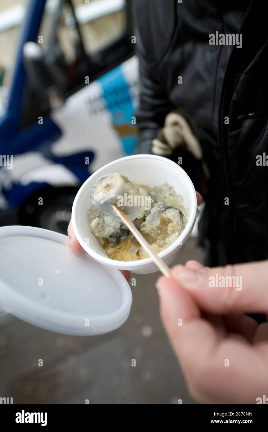 Jellied eels being eaten out of a polystyrene container Stock Photo