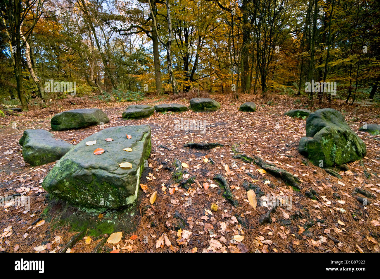 The Druids Stone Circle in Autumn on The Edge, Alderley Edge, Cheshire, England, UK Stock Photo