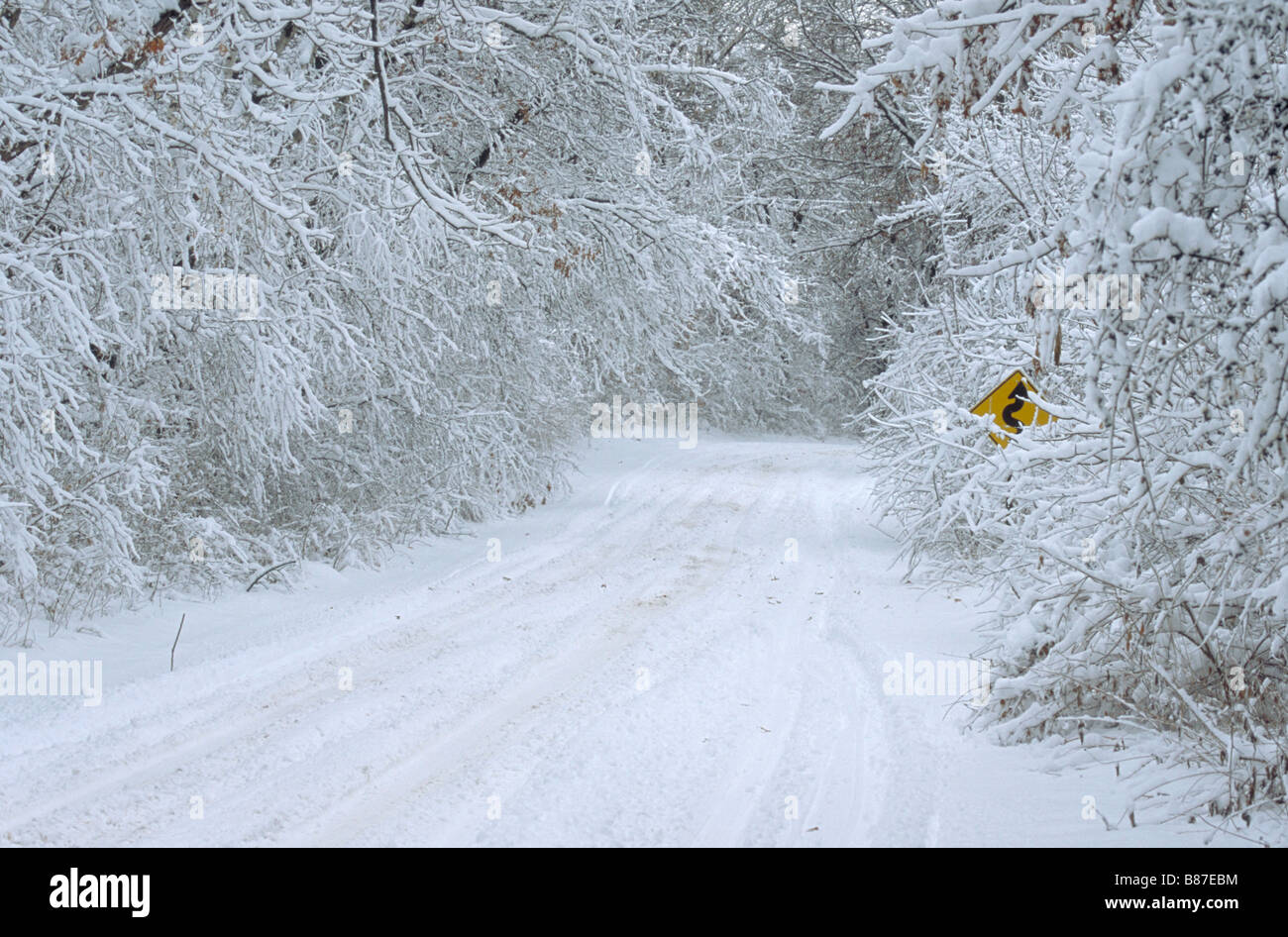 A country road shortly after a heavy snowfall Stock Photo - Alamy