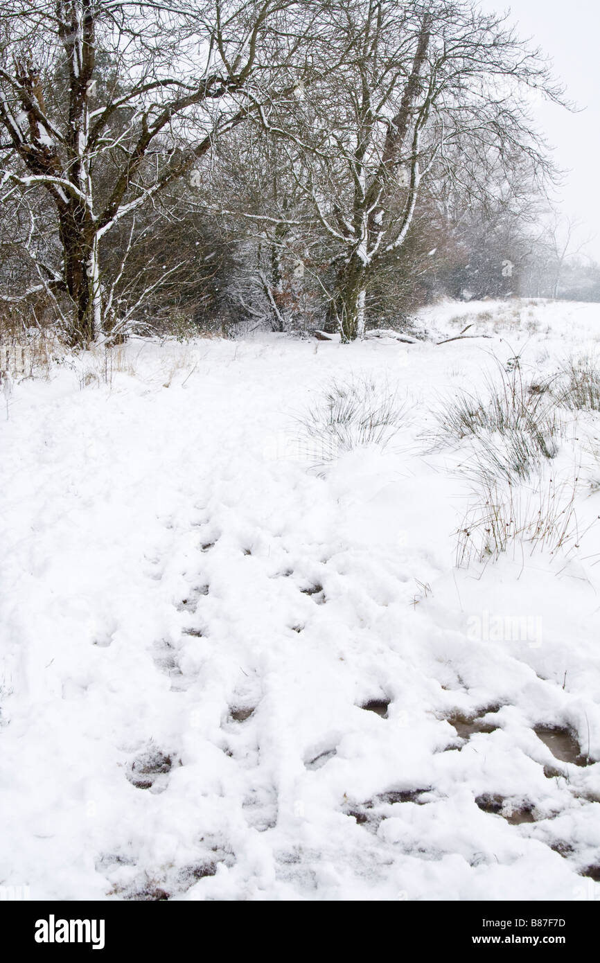 A winter landscape Stock Photo - Alamy