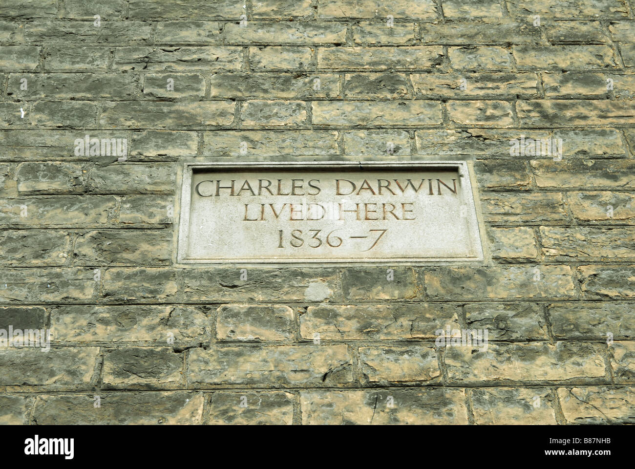 Stone plaque at 22 Fitzwilliam Street in Cambridge where Charles Darwin