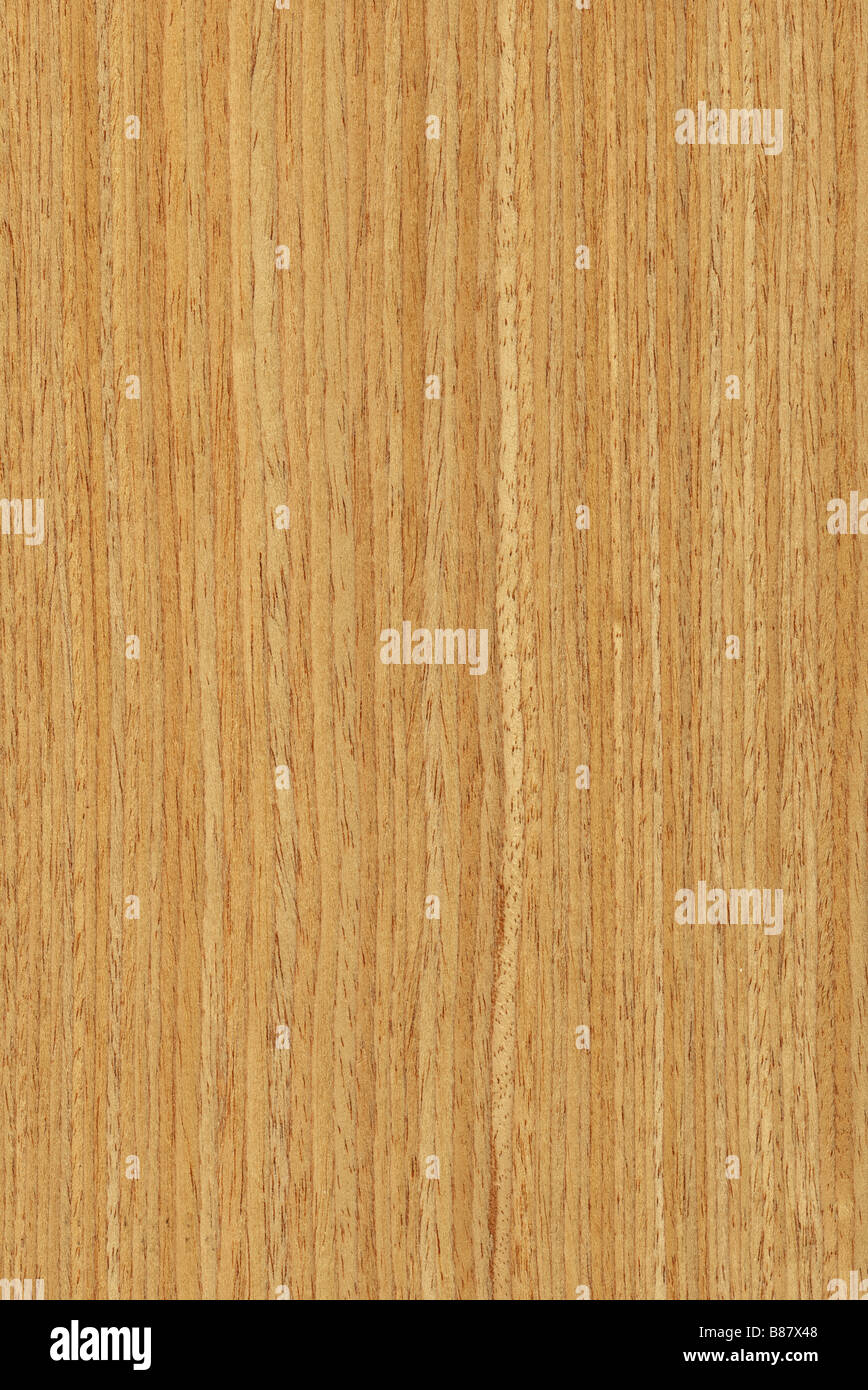Texture of oak high detailed wood texture series Stock Photo - Alamy