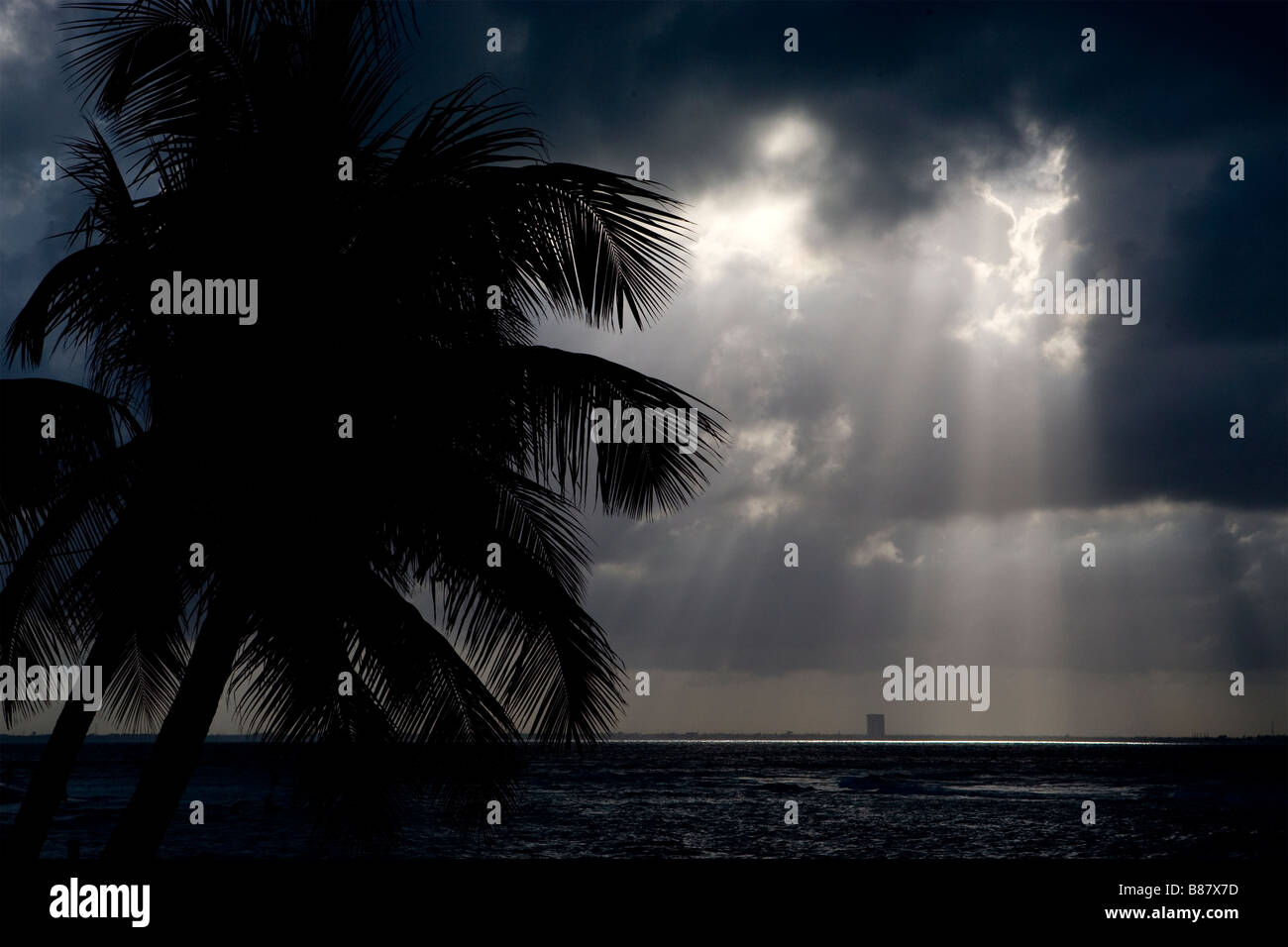 Storm clouds and plam tree on Isla Mujeres in Mexico Stock Photo - Alamy