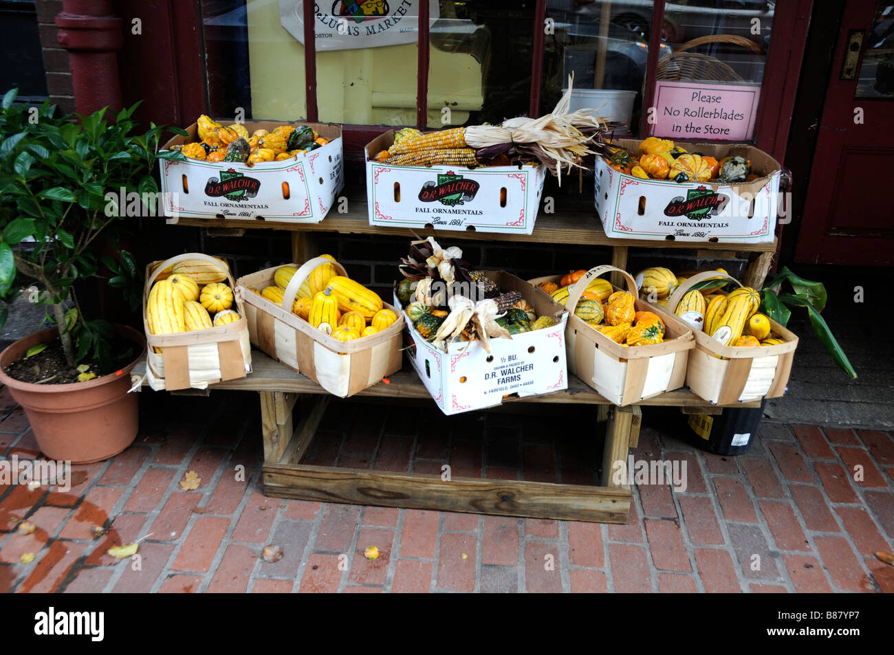 Grocery Store Autumnal display, Boston, MA Stock Photo