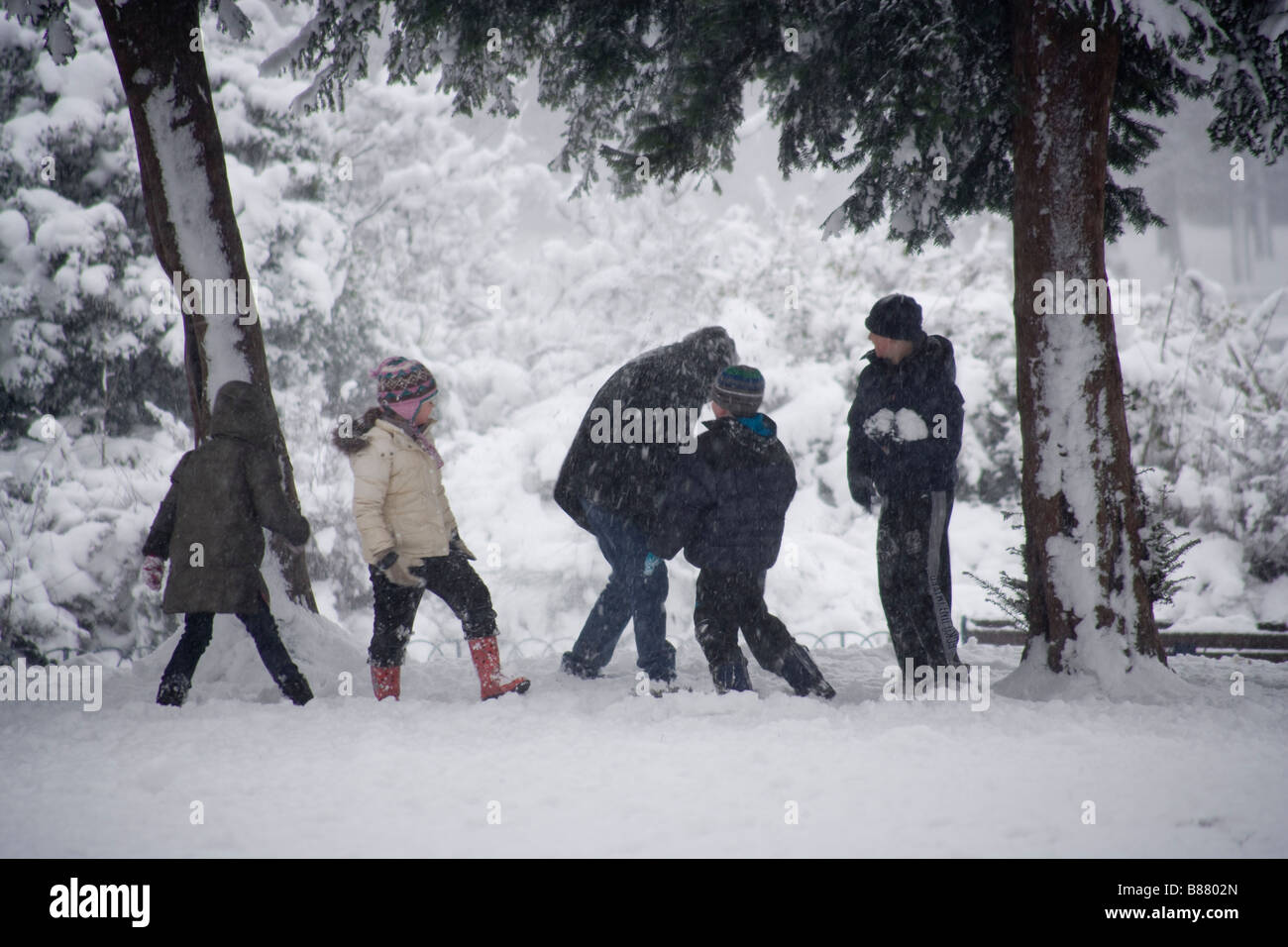 Winter children park playing snowball fights Stock Photo