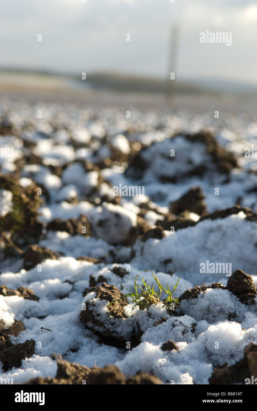 Ground covered with frost hi-res stock photography and images - Alamy
