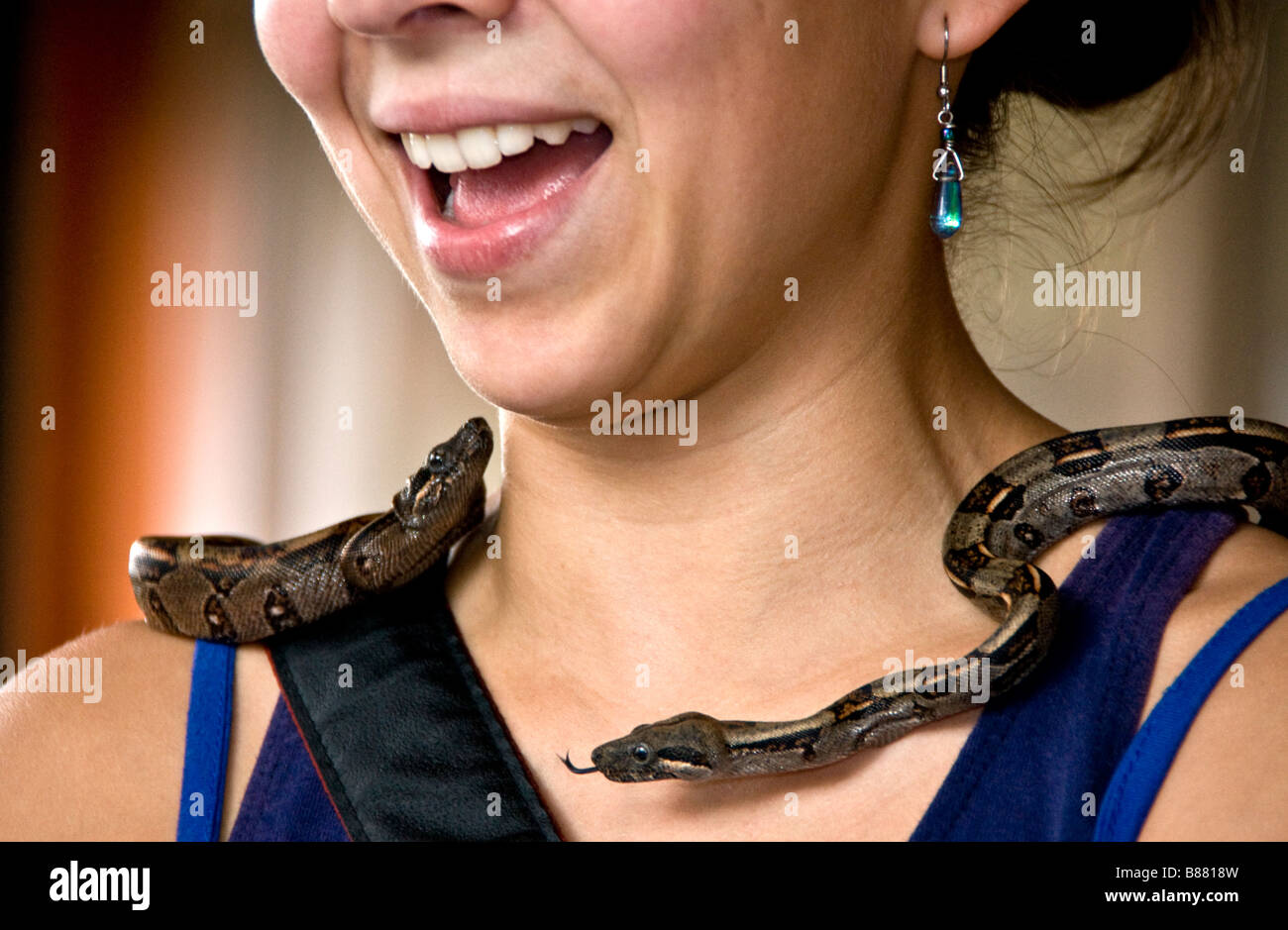 Boa constrictors at the Snake Zoo nature center on shoulders of woman ...