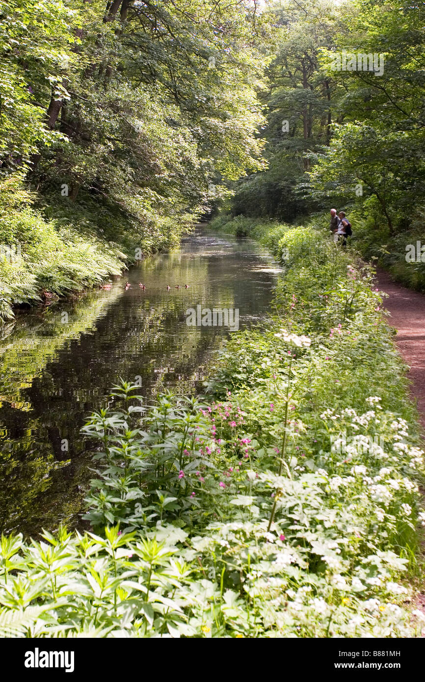 Cromford Canal, Derbyshire Stock Photo