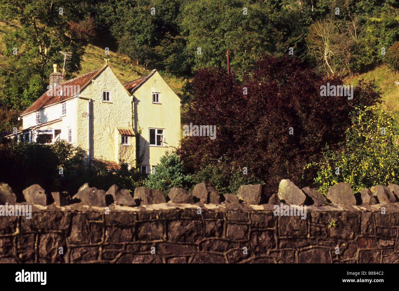 Two houses, Cheddar, Somerset, UK Stock Photo Alamy