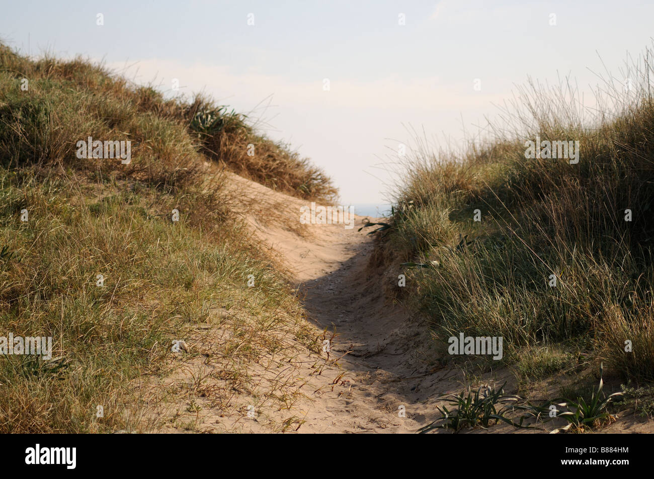Path to the beach through the dunes. El Saler. Valencian Community. Spain Stock Photo