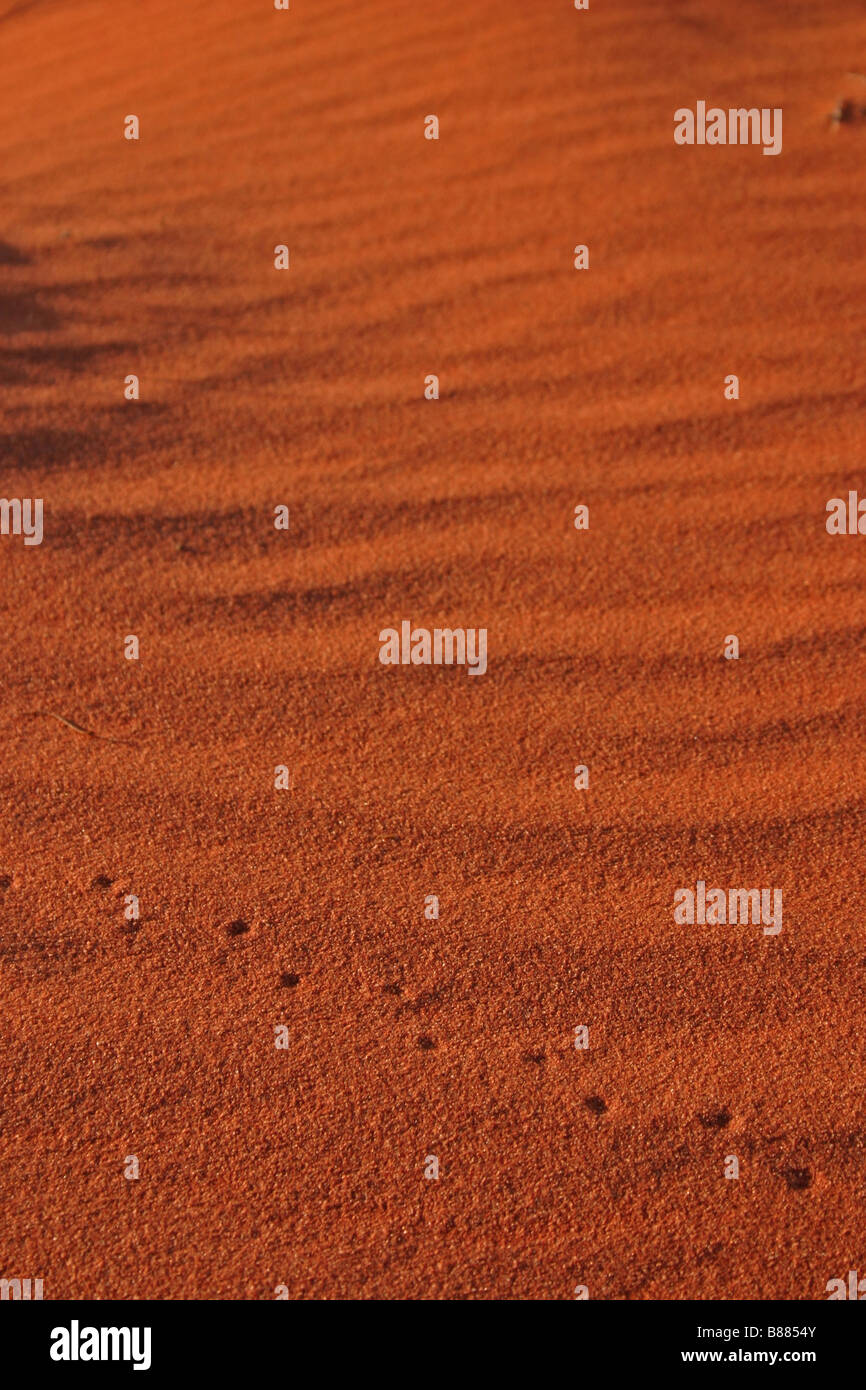 Animal tracks in red sand at Roxby Downs, South Australia Stock Photo