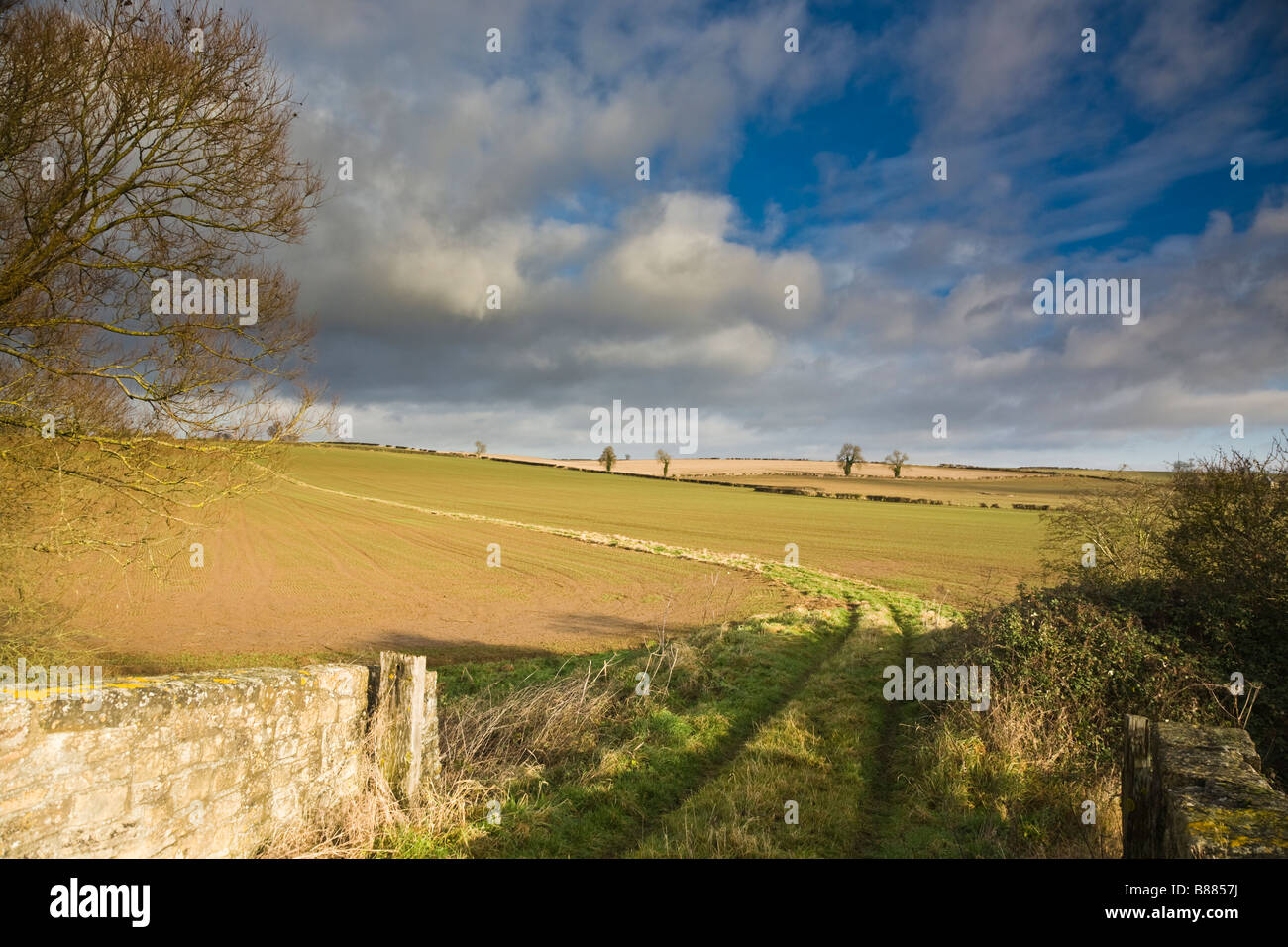 Oxfordshire winter landscape near Lower Heyford, England, UK Stock Photo